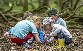 Image result for Forest school images copyright free