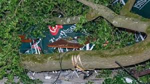 Hitzewelle im Liveticker: +++ 10:47 Schwerer Ast bricht plötzlich ab - ein Dutzend Verletzte in Biergarten +++