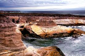Image result for montana del oro