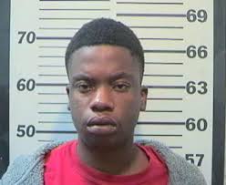 Gerald Hayden, 19, was arrested by Mobile police Thursday after officials said he led them on a high-speed chase. - haydenjpg-49736c721cc116aa