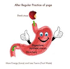 Yoga for Digestion | Yoga to Improve Digestive System | The Art Of ... via Relatably.com