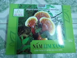 Kết quả hình ảnh cho NẤM XANH