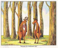 Image result for "gary larson" smite god