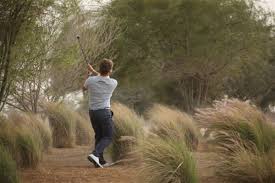 Image result for doha golf club images