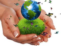 Resultado de imagen para cuales son las funciones de la ecologia