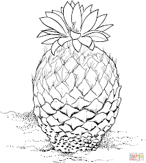 Résultat de recherche d'images pour "cactus coloring pages"