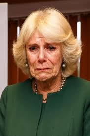 1 MINUTE AGO! Camilla, broken and tear-stained after a night ...
