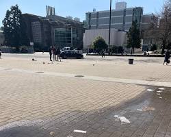 Image of Leaving trash everywhere