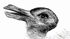 Image result for RABBIT