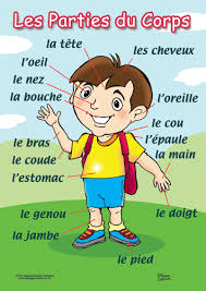 Resultado de imagen de les parties du corps exercices