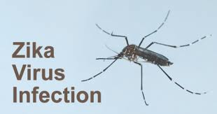 Image result for images of zika virus