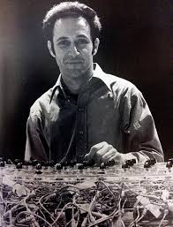 Image result for steve reich