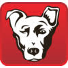 Alpha Media USA Employee Sarah Owens's profile photo