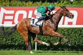 %E3%82%AB%E3%83%A9%E3%83%B3%E3%83%80%E3%82%AC%E3%83%B3