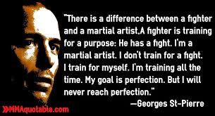 Quotes About Martial Arts Training. QuotesGram via Relatably.com