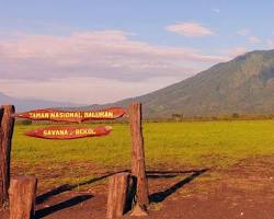 Gambar Taman Nasional Baluran