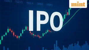Pace Digitek raises ₹245 crore from anchor investors ahead of ₹819 crore IPO