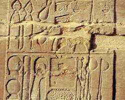 ancient egyptian medical papyrus and medieval islamic medical manuscript with herbal medicine theme، من إنشاء الذكاء الاصطناعي