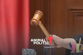 Animal Politico - News update