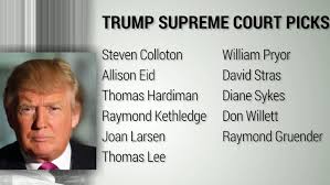Image result for donald trump supreme court nominees