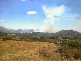 Résultat de recherche d'images pour "and then a miracle occurs"