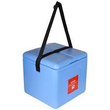 FAIRBIZPS Freeze Free Vaccine Carrier Box (2.90 L) - Large ...