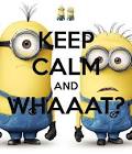 Keep Calm and love minions -
