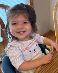 How a Hyundai SUV seat crushed a 2-year-old girl and sparked a mass recall