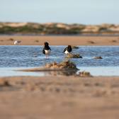 Coorong National Park