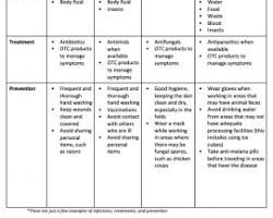 صورة Different types of bacteria causing various diseases