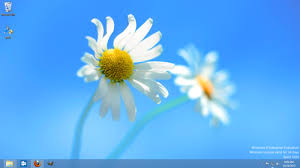 Image result for windows 8