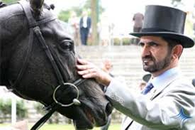 「‫حاکم دبی‬‎」の画像検索結果