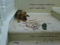 Cute Dog Quotes. QuotesGram via Relatably.com