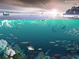 Image result for organisms and their environment