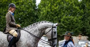 Tradition Meets Tension as RDS Members Push Back on New Laya Arena Name