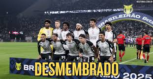 Meu Timão