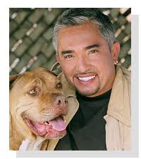 Cesar Millan Opens New Dog Psychology Center in Florida and Announces Inaugural Dog Training Workshop. Cesar Millan on Pet Life Radio . - CesarMillan