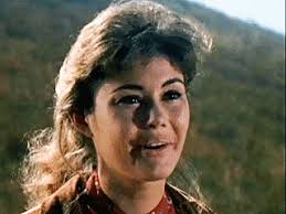 Image result for the virginian tv series