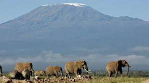 tanzania mountains కోసం చిత్ర ఫలితం