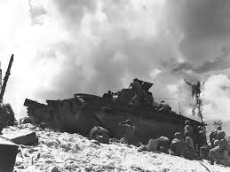 Image result for battle of peleliu