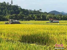 人防技防双向发力 浙江供销筑牢护农保粮“防风墙”