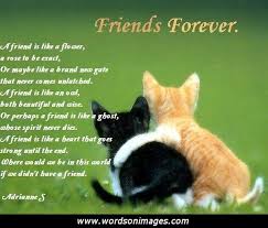 Friendship Quotes On Valentine S Day : Friendship Quotes ... via Relatably.com
