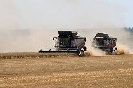 Décadas de ganhos na produção agrícola e estoques fortalecem sistema alimentar global diante do super El Niño