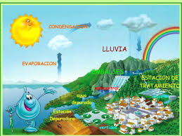 Resultado de imagen de EL AGUA ES IMPORTANTE