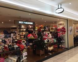 person and their pet entering Pet Paradise Shinjuku Subnade storeの画像