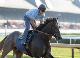 Madaket Road Will Scratch From Pegasus World Cup Invitational