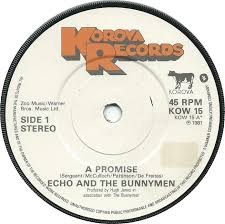 Image result for echo and the bunnymen promise
