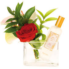 Red Rose Alvarez Gomez Parfum - ein Parfum für Frauen und Männer - o.23907