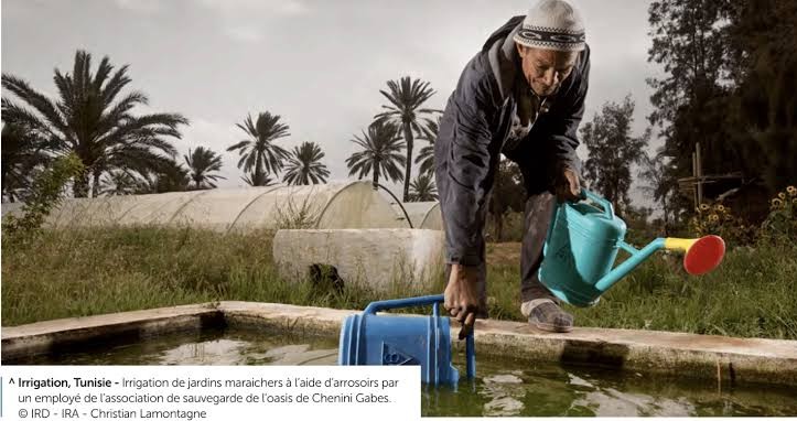 « La réouverture de l’Institut français du Proche-Orient en Syrie pourrait contribuer à la renaissance scientifique et culturelle du pays »