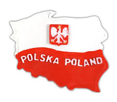 Image result for polish flag